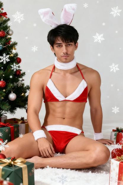 Erotic Lingerie Set Sexy Men Thong Christmas Underwear Man Bunny Ears Velvet Bikini Bra Sissy Crossdressing Cosplay Costume