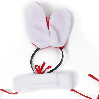 Erotic Lingerie Set Sexy Men Thong Christmas Underwear Man Bunny Ears Velvet Bikini Bra Sissy Crossdressing Cosplay Costume