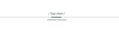 5 PCS/Set Mesh Briefs M-2XL Lace Panties Sexy Transparent Underwear Low Rise Panties Girls Intimates Lingeri