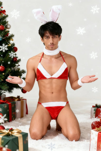 Erotic Lingerie Set Sexy Men Thong Christmas Underwear Man Bunny Ears Velvet Bikini Bra Sissy Crossdressing Cosplay Costume