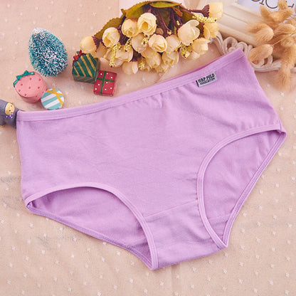 7Pcs/Lot Plus Size Underwear Women's Panties Cotton Girl Brief Sexy Lingeries Shorts Underpant Solid Panty Female Intimate M-4XL