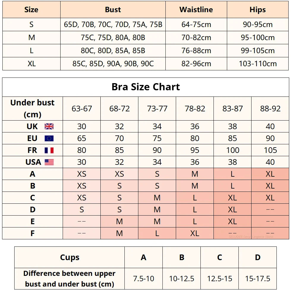 Lady Floral Lace Embroidery Lingerie Sets Women See-through Bra and Panty Set Underwear Sexy Hot Intimates Erotic Sexy Porn Suit