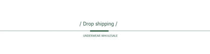 5 PCS/Set Mesh Briefs M-2XL Lace Panties Sexy Transparent Underwear Low Rise Panties Girls Intimates Lingeri