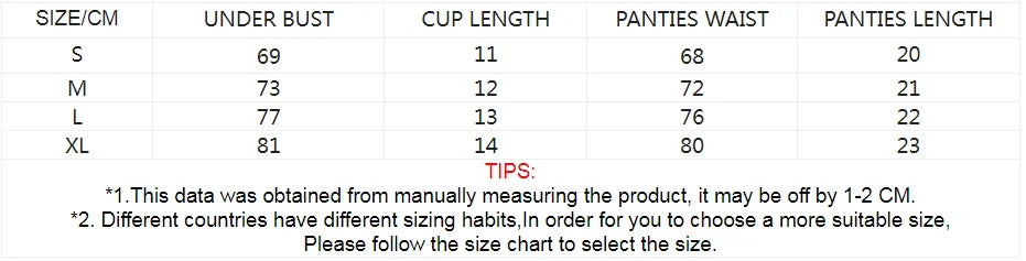 Exotic Fantasy Lingerie Underwire Bra Strap Panties 2Piece Sheer Mesh Embroidery Underwear for Women