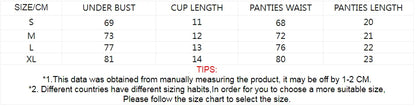 Exotic Fantasy Lingerie Underwire Bra Strap Panties 2Piece Sheer Mesh Embroidery Underwear for Women